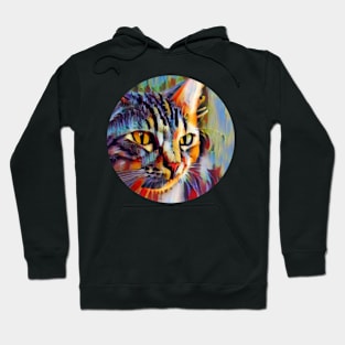 Alert floppy cat Hoodie